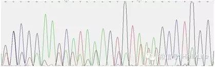 分子构建的正确流程是什么,分子构建最新技术