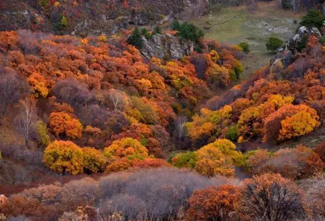 河北最牛的1个城市，承包了大半个中国的美