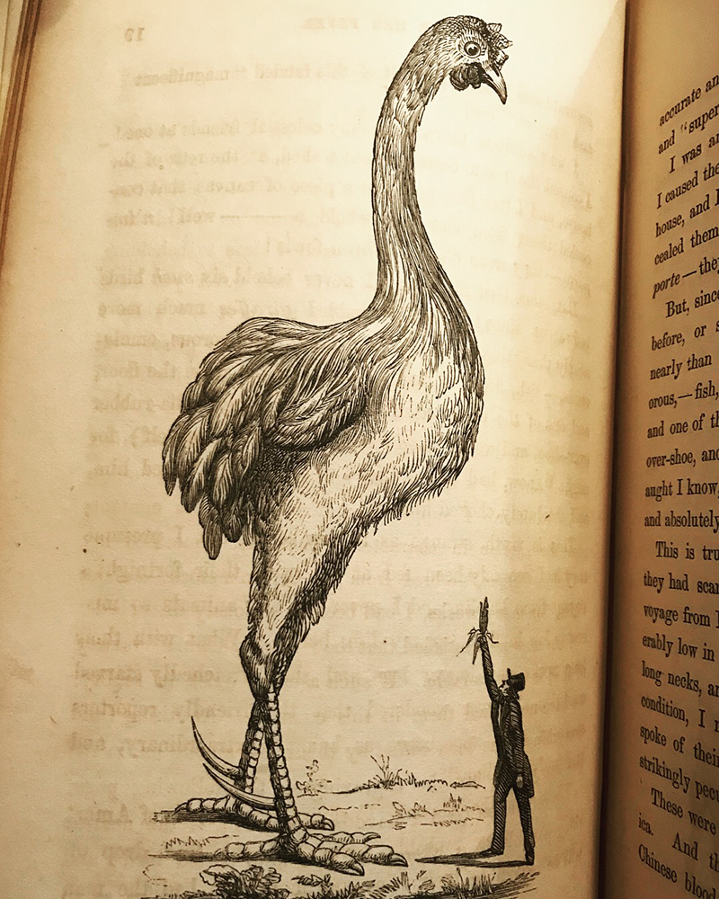 <html>
<head><title>502BadGateway</title></head>
<body>
<center><h1>502BadGateway</h1></center>
<hr><center>nginx</center>
</body>
</html>
<!--apaddingtodisableMSIEandChromefriendlyerrorpage-->
<!--apaddingtodisableMSIEandChromefriendlyerrorpage-->
<!--apaddingtodisableMSIEandChromefriendlyerrorpage-->
<!--apaddingtodisableMSIEandChromefriendlyerrorpage-->
<!--apaddingtodisableMSIEandChromefriendlyerrorpage-->
<!--apaddingtodisableMSIEandChromefriendlyerrorpage-->
