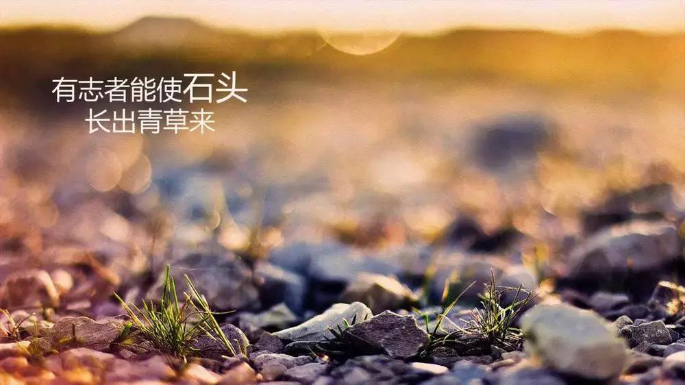 最稳的赚钱模式,最赚钱的十大秘诀