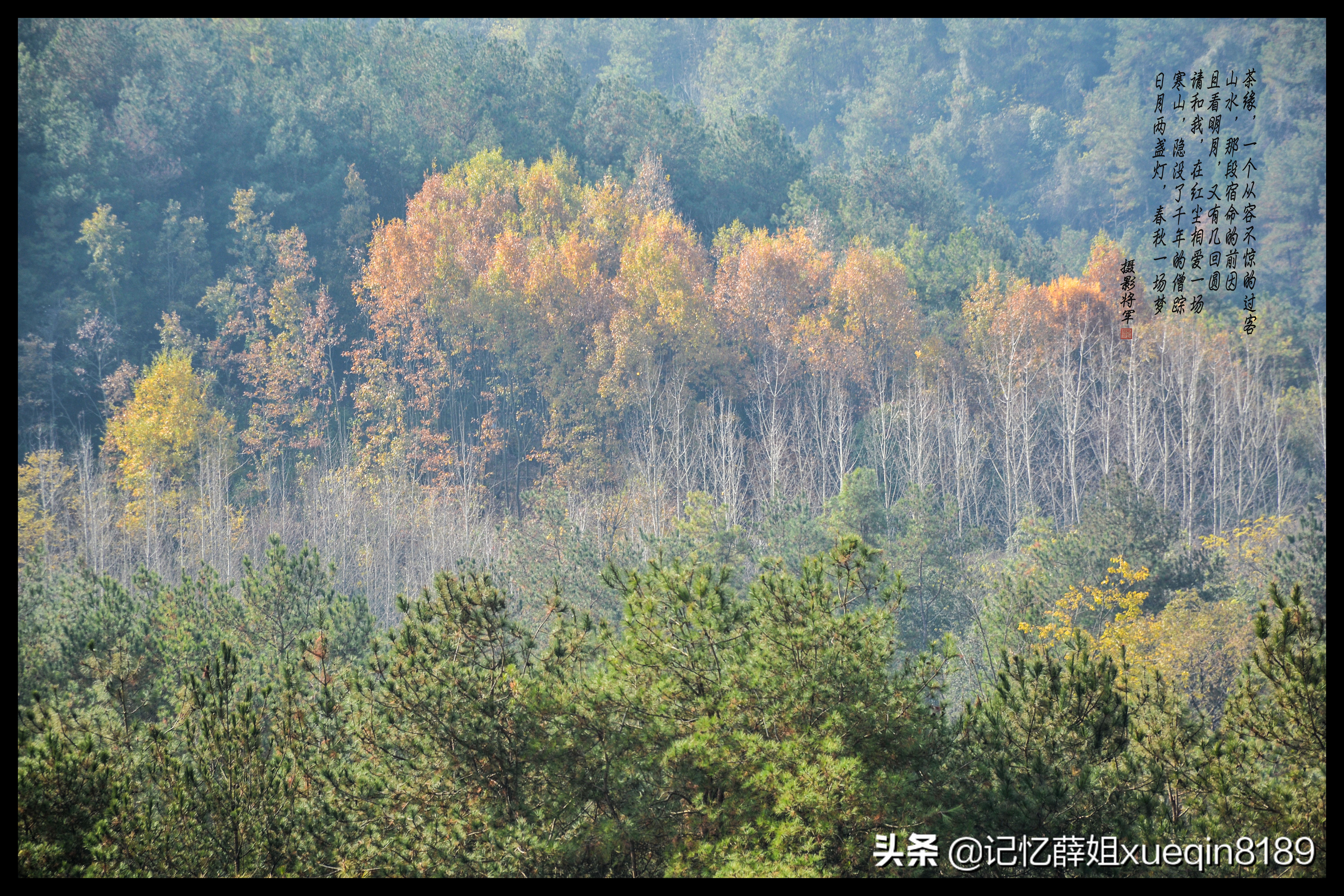 摄影测光的正确方法,摄影时怎么测光