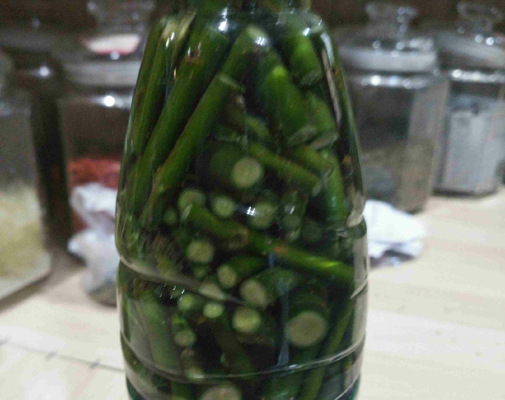 柳树枝泡水浇君子兰防烂根吗,君子兰根可用柳枝水泡吗