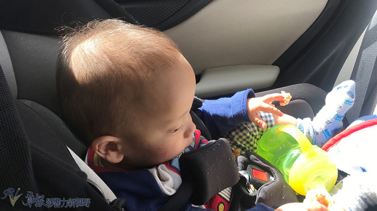 怎么带两岁小孩旅游,适合带3岁小孩去旅行