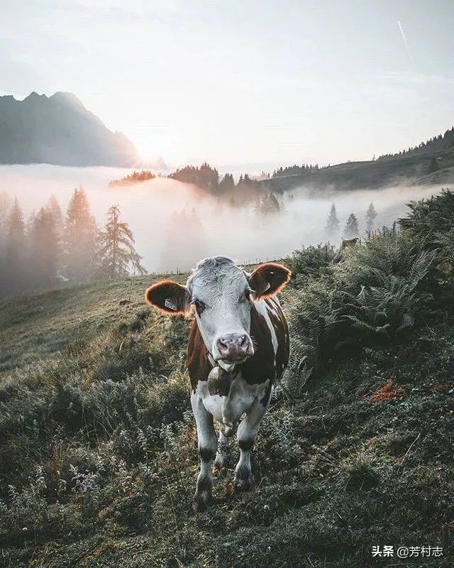 遇见·预见|开眼界！大广州下冰雹；国内油价将4连涨