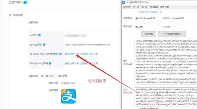 支付宝沙箱支付教程spring,简述支付宝支付接口的同步回调