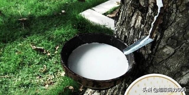 假的乳胶枕有什么危害,假的乳胶枕的危害有多大