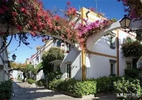 拥一颗素心守一方静谧什么意思,用一颗素心守一方静谧