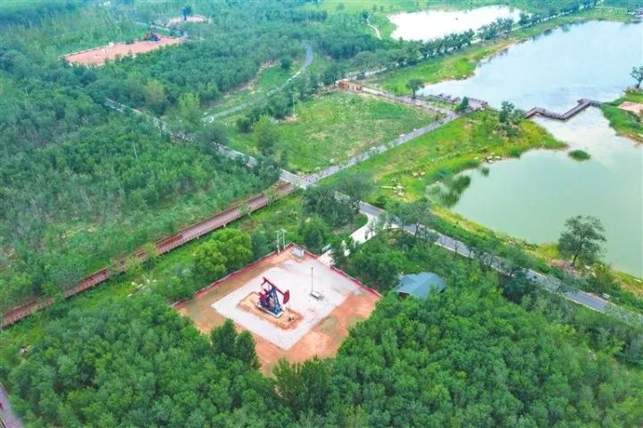 胜利油田：360°俯瞰！坐落在城市里的“风景”