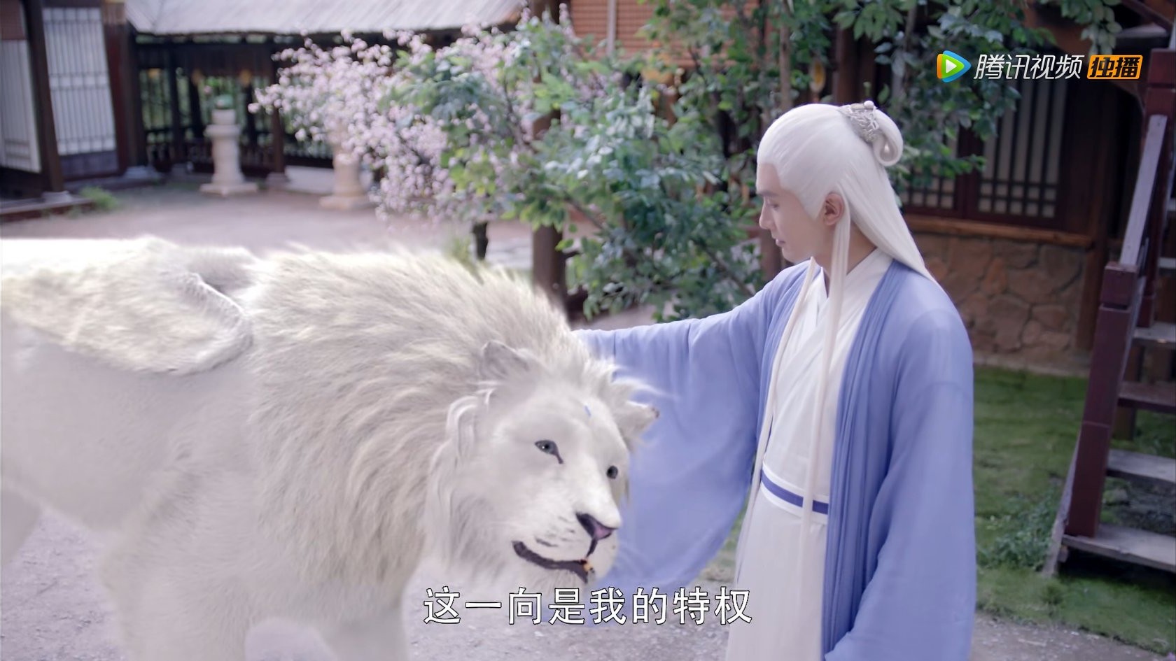 三生三世枕上书姬蘅掉入悬崖,三生三世枕上书姬衡是不是假失忆