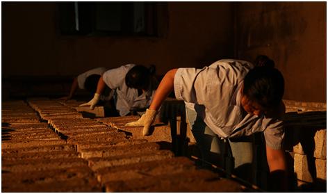 在核心产区寻找中国酒报道之十一：西北特色产区价值“出好酒，多酒种”迎来新机遇