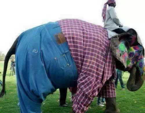 为什么印度是神奇的国度,为啥印度是个神奇国度啊