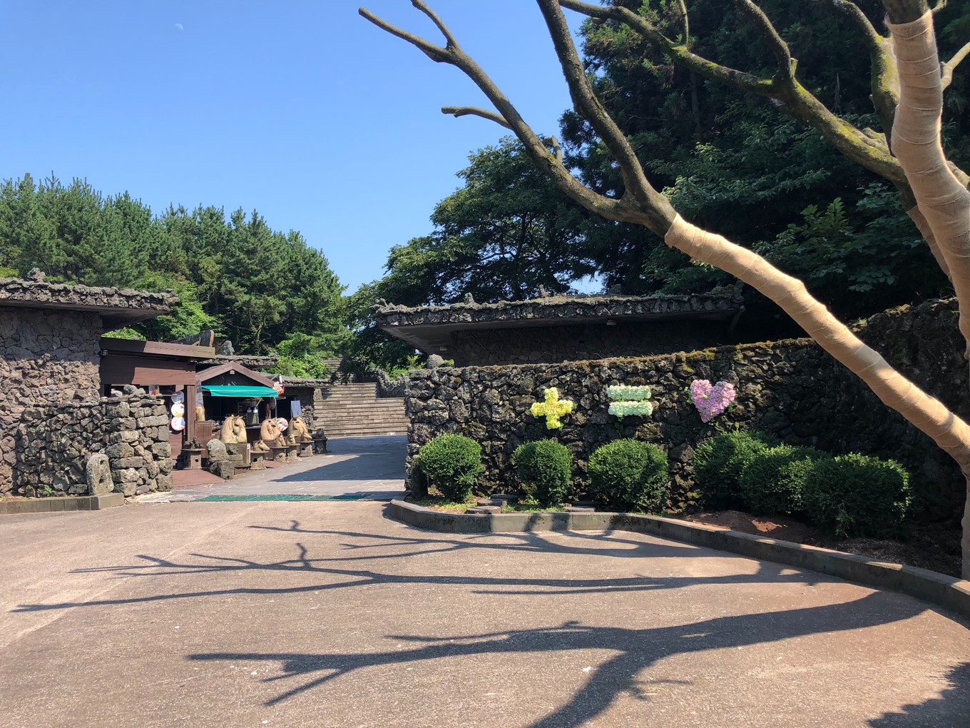 不会韩语如何去韩国玩,不会韩语怎么去韩国旅游