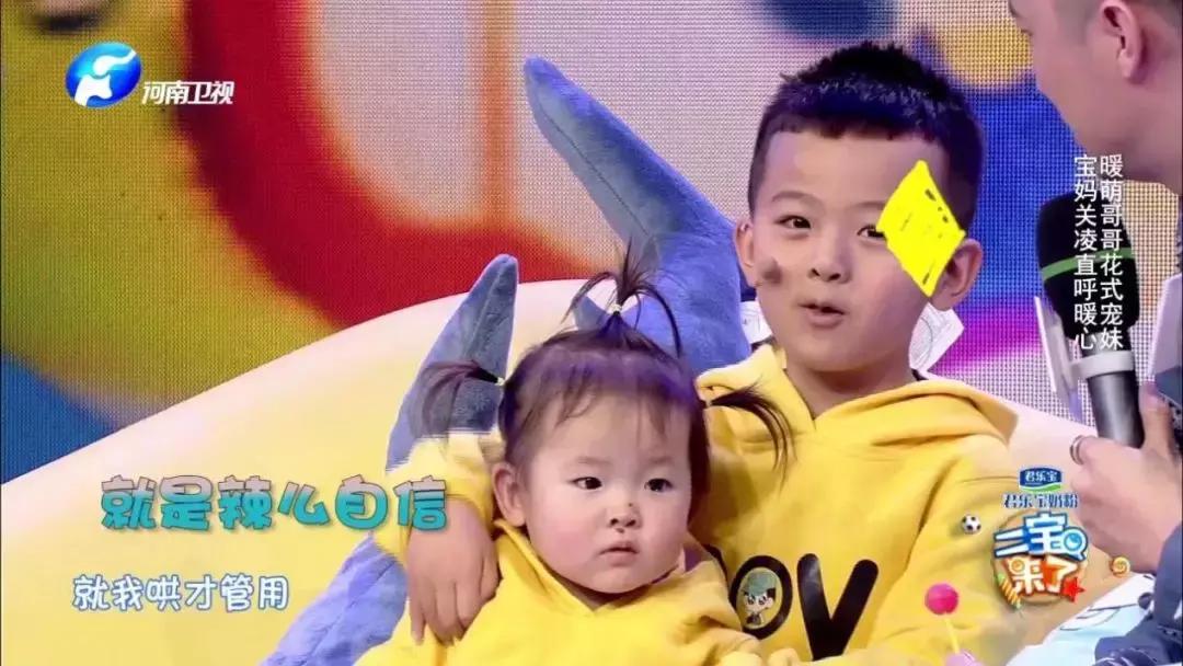 家有二宝指的是什么,家有二宝是指什么