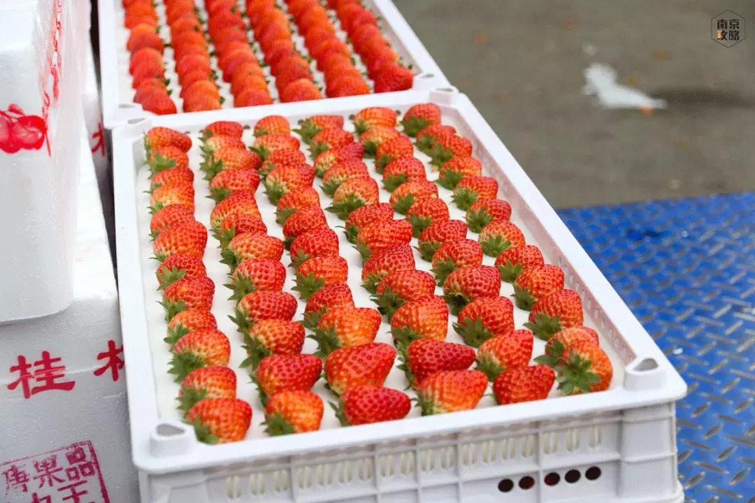 众彩物流公司年货,众彩物流年货大集