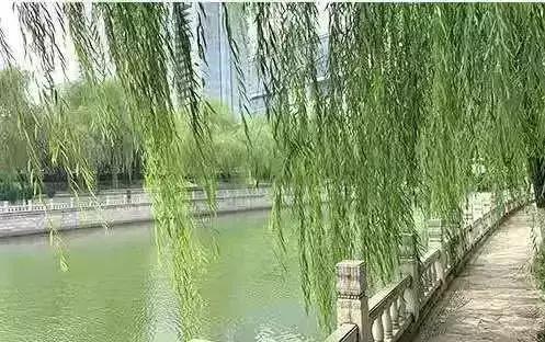 四十个美丽河湖名单,我市14条河湖入选省级美丽河湖