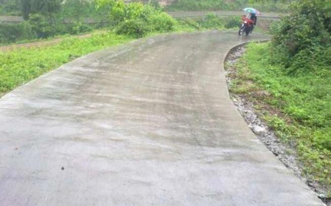 俗语说房前屋后栽啥树好,俗语想致富先修路原话怎么说