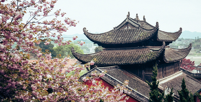 疫情对湖南这里居然丝毫没有影响！0病发，还超级适合徒步旅行！