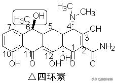 执业药师药物化学结构记忆口诀,初级药师基础知识药物分析