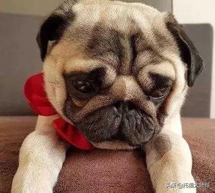 “心态崩了”英语怎么说？歪果仁说不是“I’mboom”，那是啥？