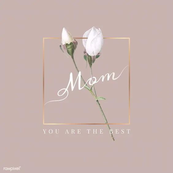 记录妈妈最美的样子珍藏版,妈妈必知的十大纪录片