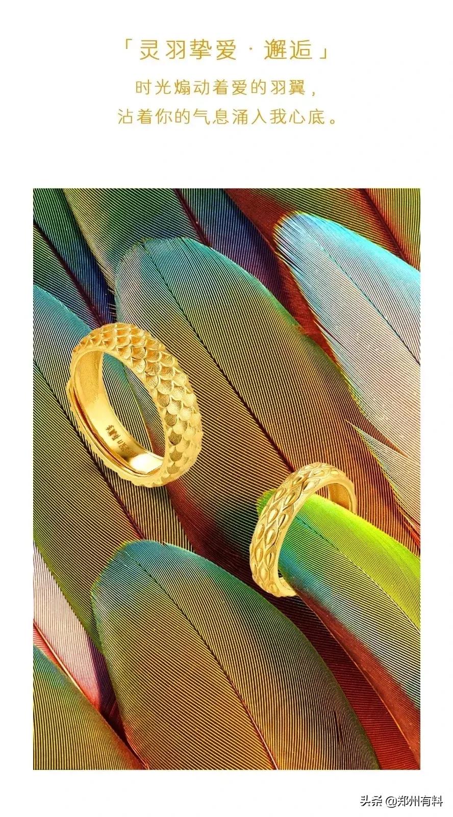 听说你已经拿到了郑百的录取通知书?等你来报道!你来了吗?