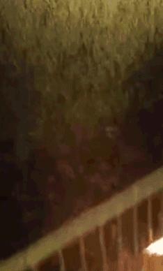 干掉蚊子的100种方法,消灭蚊子的100种方法第24种