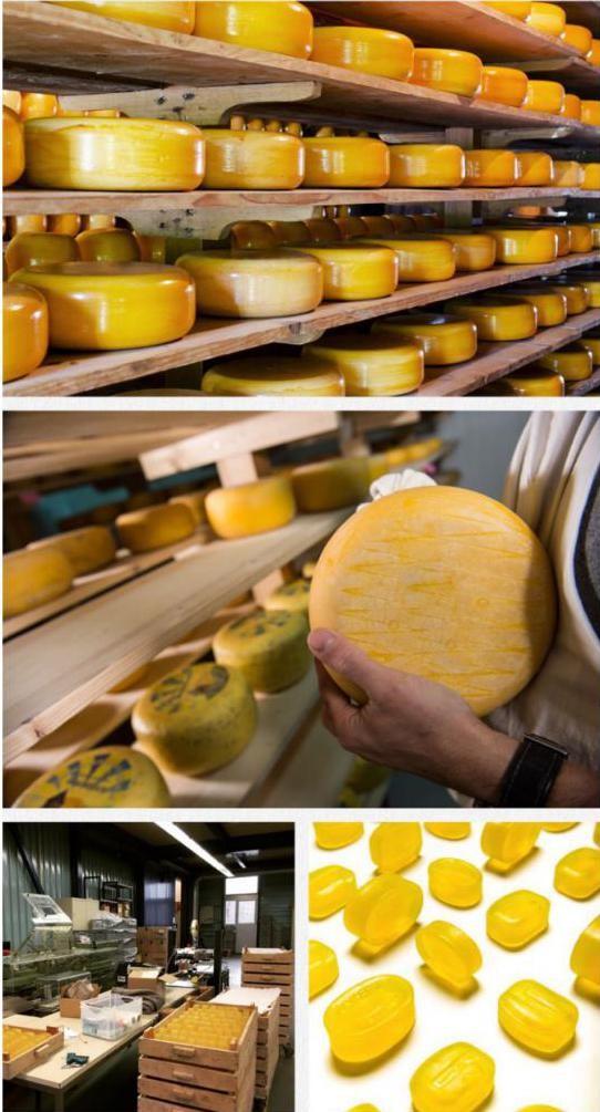 mettler1929洗护液,mettler1929精华