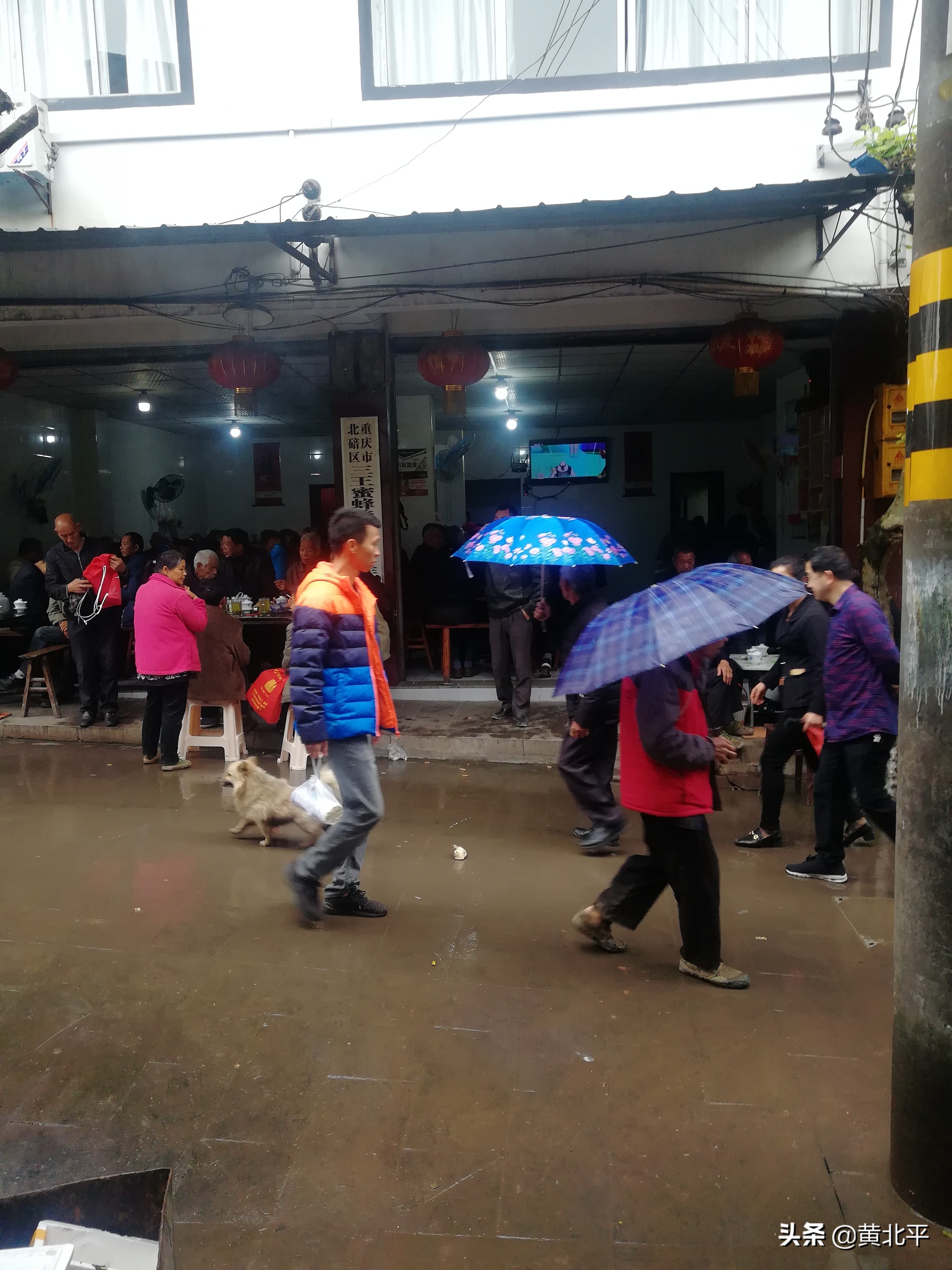 北碚三圣老街,重庆北碚三圣镇