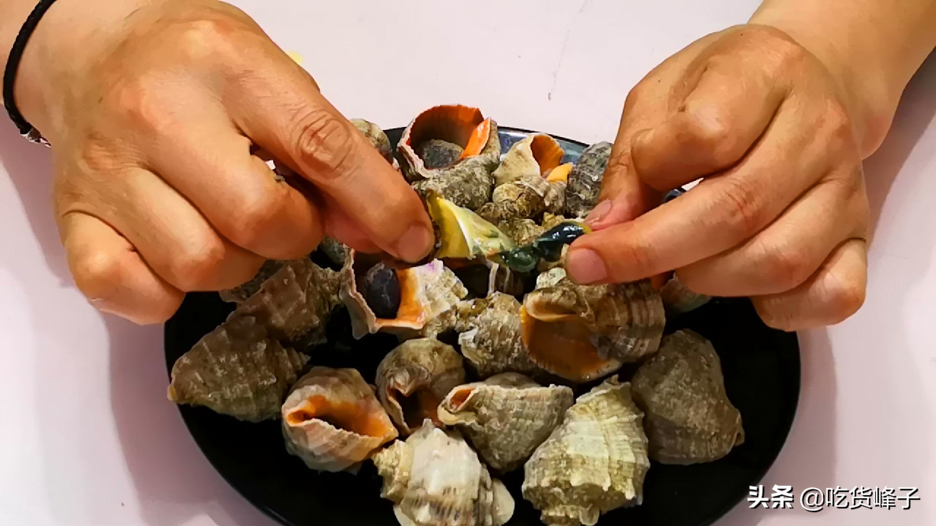 海螺用凉水还是热水煮,煮海螺为啥放白糖