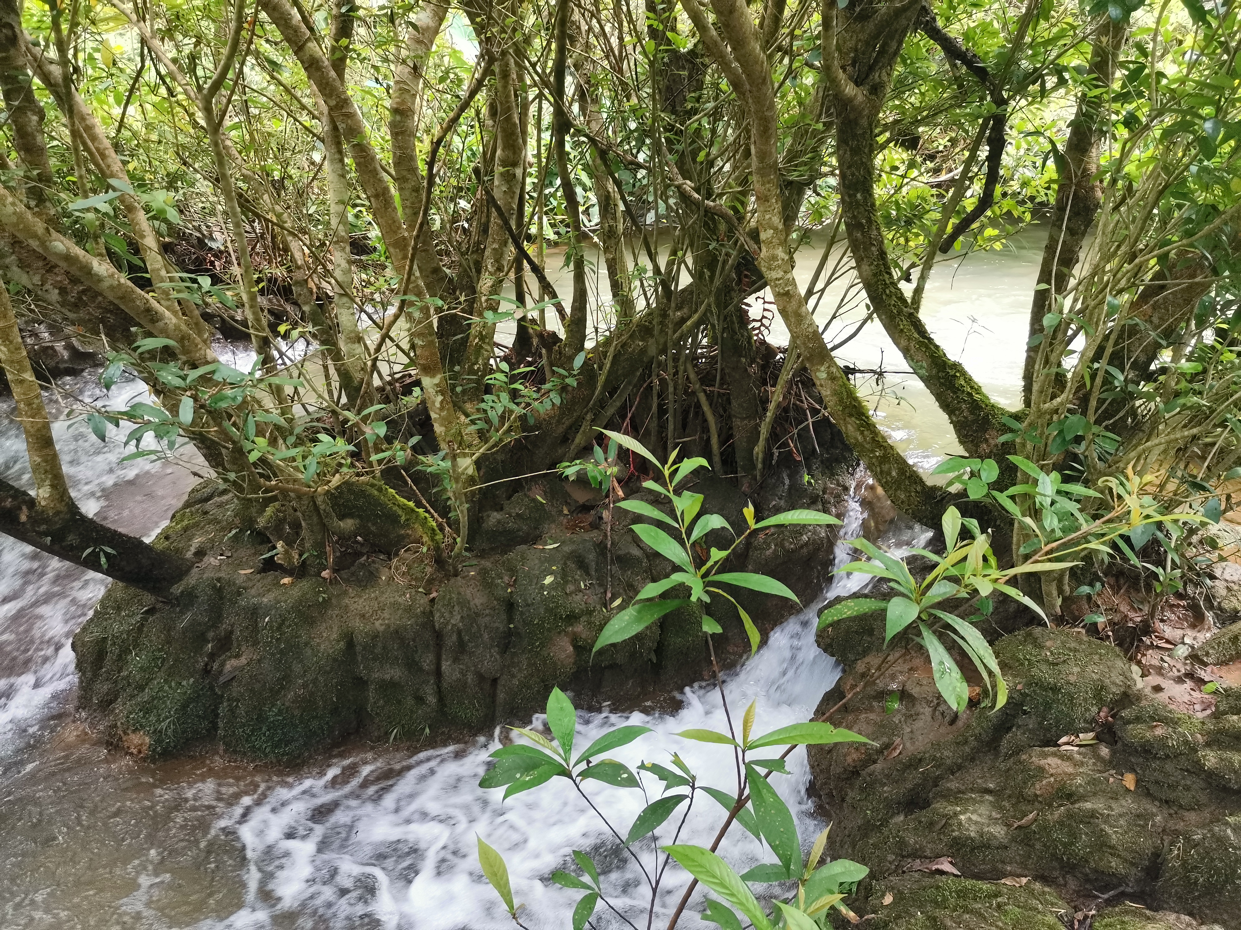 *疆新**笔记：沙湾·红酒公园·再进南山