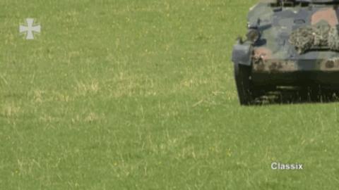 鼬鼠步兵战车,日耳曼鼬鼠坦克