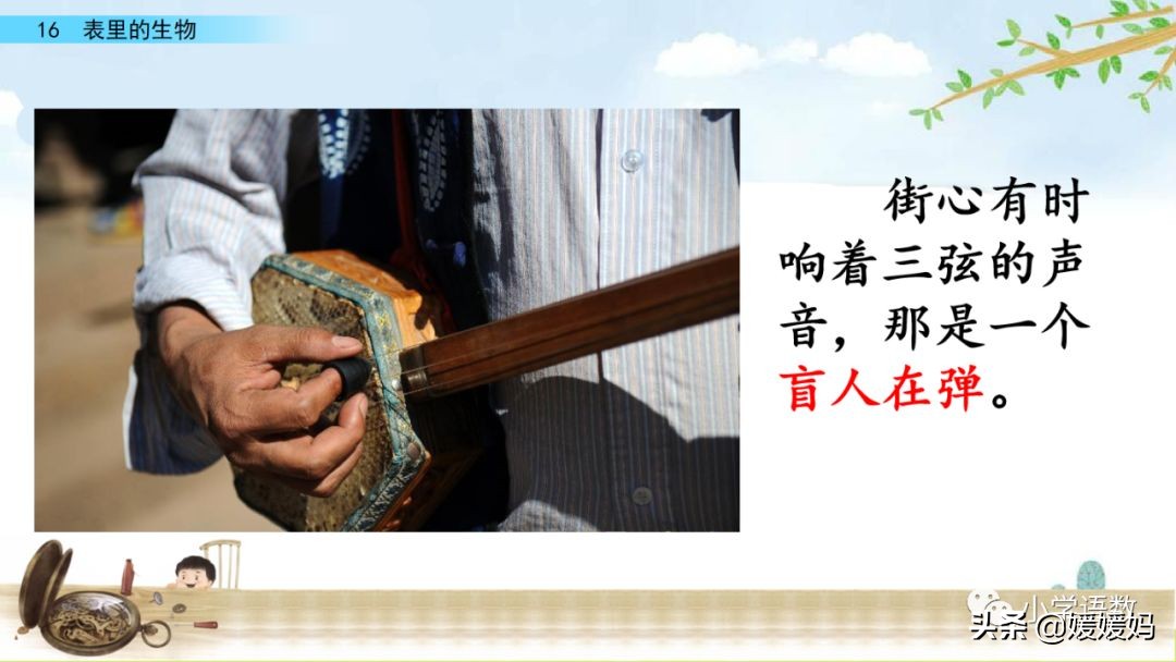 六年级下册语文表里的生物朗诵,六年级下册表里的生物小练笔400字