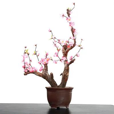 桃花树盆栽养护,桃花盆栽小技巧