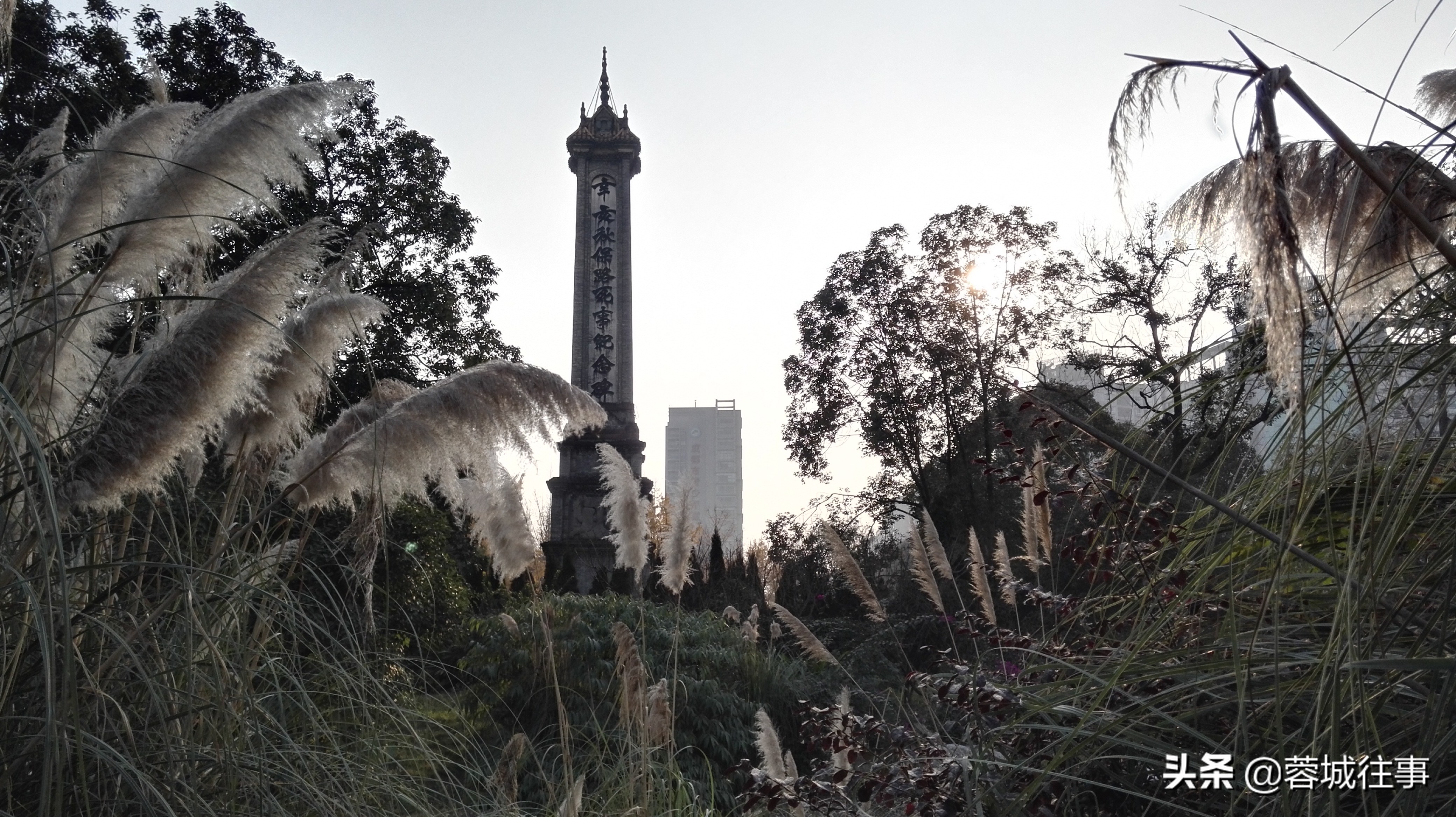 四川保路运动给我们的启示,清末四川保路运动爆发的意义