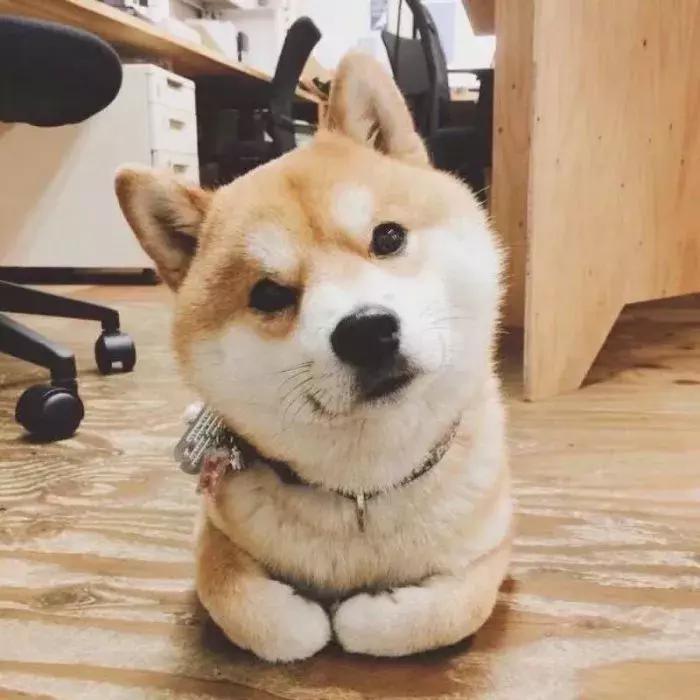 beatsstudio3wireless测评,beatssolo3wireless降噪测评