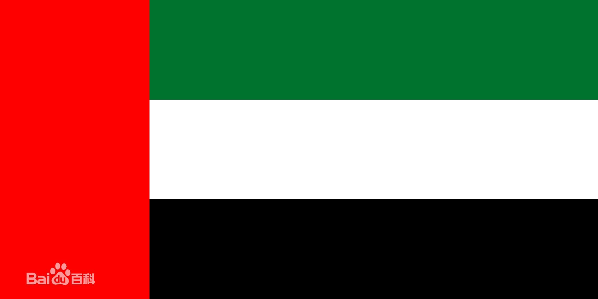 选出你认识的*旗国**