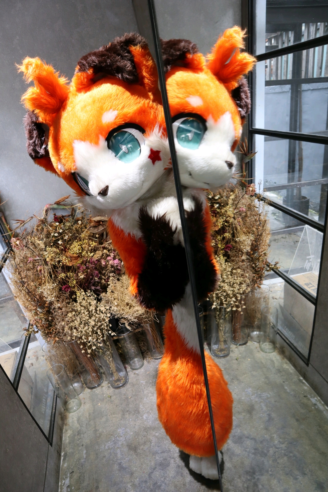 杂图系列（*男猛**系列：兽人furry第一弹）#1