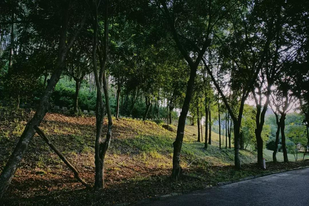 三亚学院21年新生报到,三亚学院新生入学教育