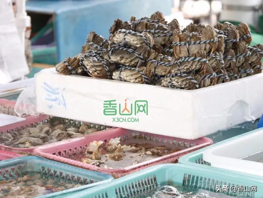 珠海有哪些海鲜街,珠海南屏海鲜街