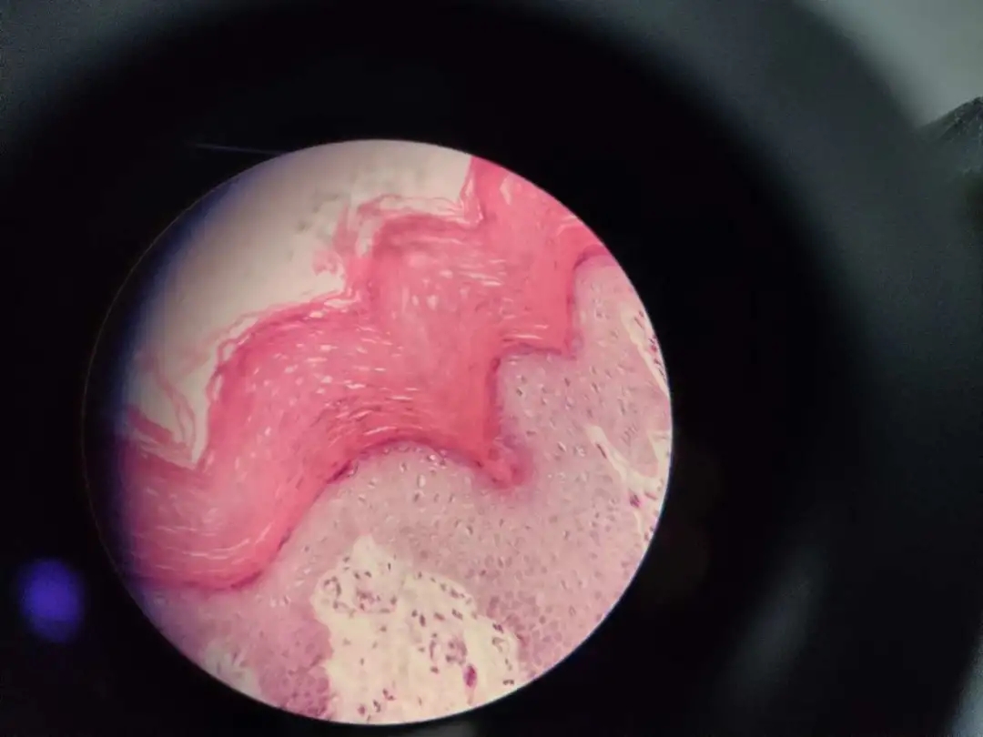 医学生学习打卡做题,医学生学习成果检验视频