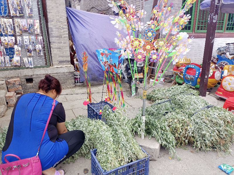 延庆永宁古城特产,延庆县永宁古城