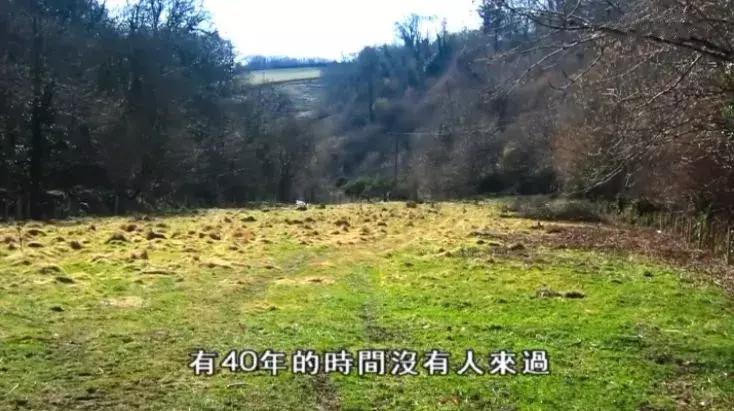 隐居深山30年以种地为生,隐居深山生活养动物