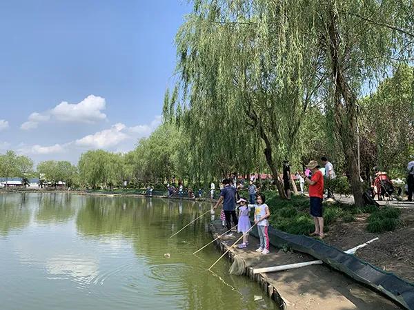 长三角城市群最佳旅游线路,长三角示范区旅游详细攻略