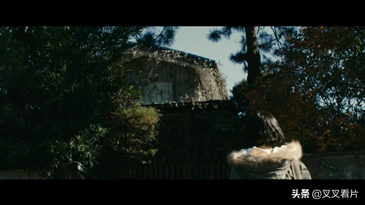 伽椰子和贞子的恐怖镜头,贞子大战伽椰子最厉害的鬼