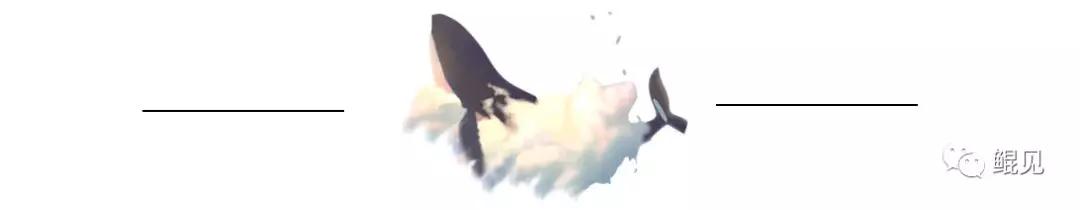 昆山若宇检具有限公司怎么样,昆山若宇检具有限公司