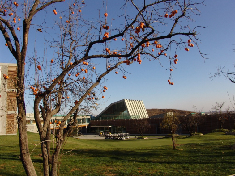 北京太伟高尔夫俱乐部,北京太伟高尔夫俱乐部餐厅