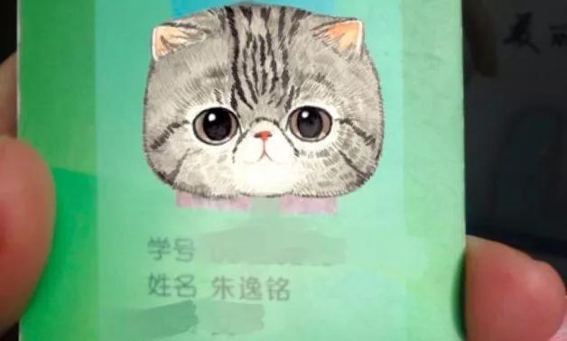 熬夜翻书、占卜算卦起的名字,怎么就让孩子尴尬了呢?