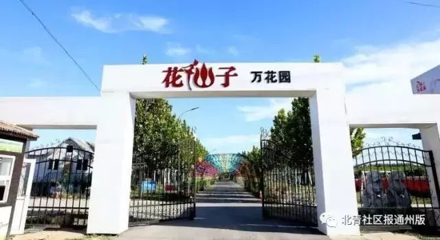 打卡北京紫谷伊甸园虞美人花海,通州看花的景点推荐免费