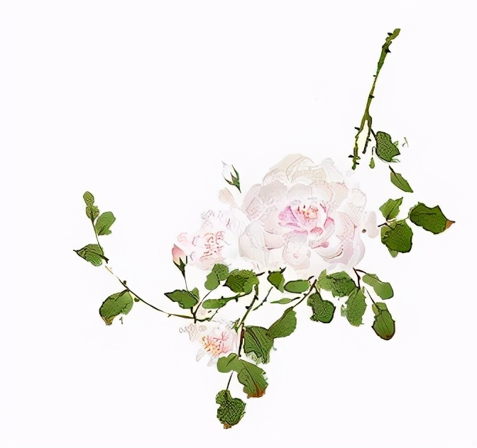 “小人物”麝月抽到“荼蘼花”,她在《红楼梦》里还藏着什么秘密