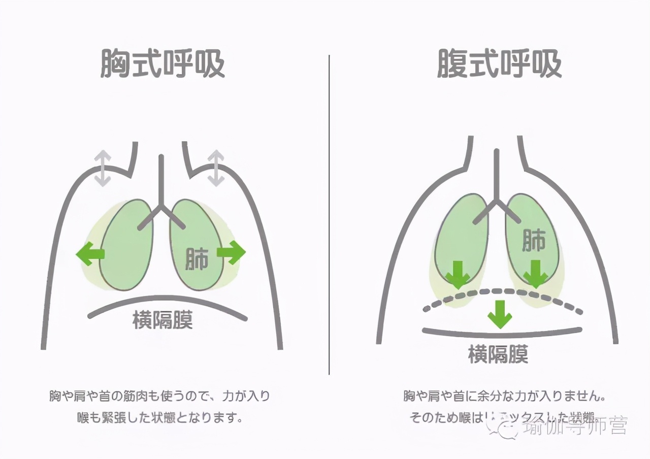 呼吸法中的腹式呼吸,瑜伽胸式呼吸吐纳训练视频